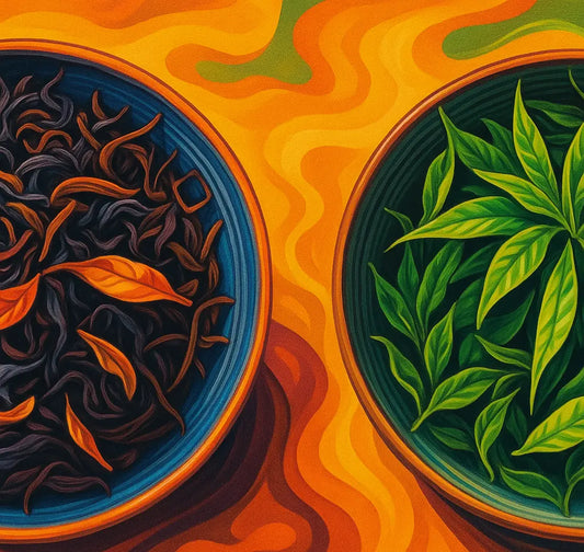 Feuilles de thé noir et thé vert côte à côte issues du Camellia sinensis