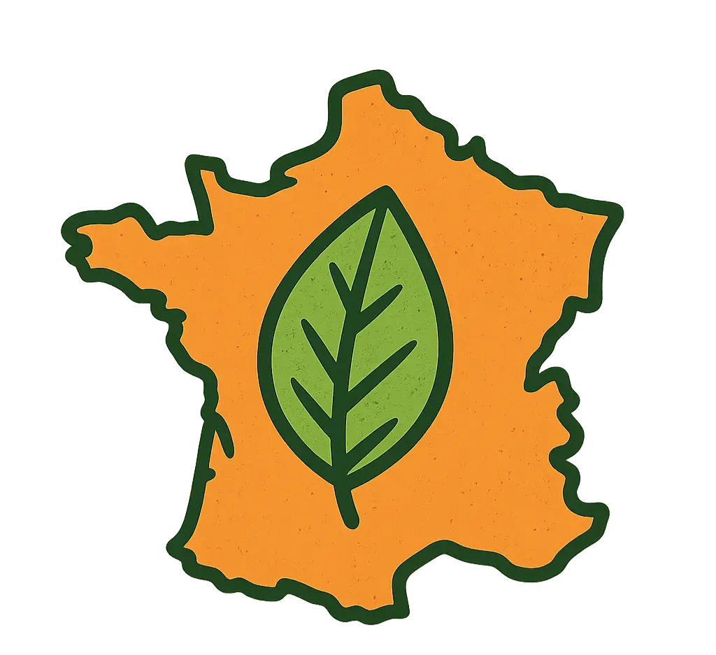 Gamme de thés verts, noirs riches et équilibrés La Bibliothéière, sélectionnés avec soin et conditionnés en France pour une dégustation de caractère.