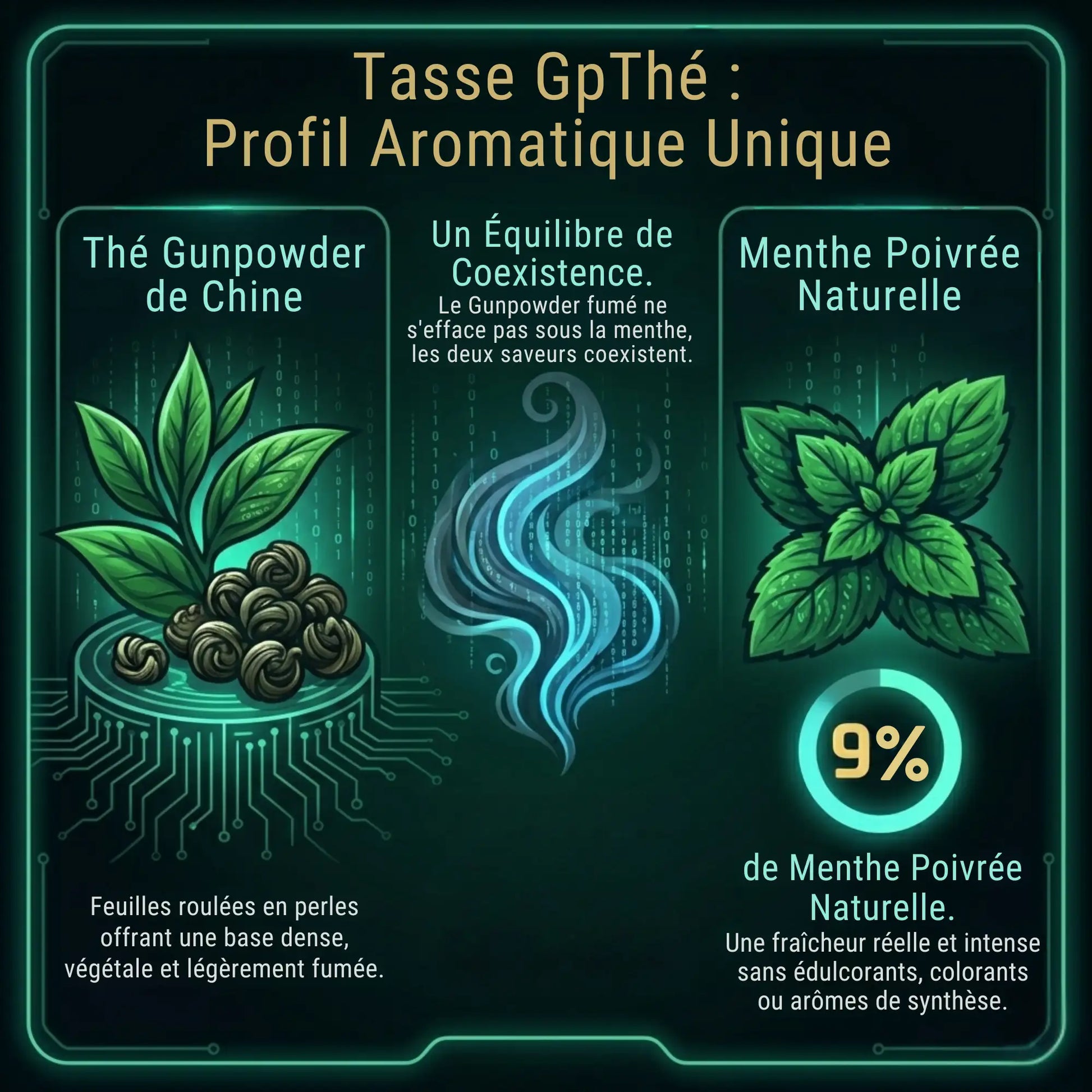 Infographie du profil aromatique de la Tasse GpThé : mélange de feuilles de thé Gunpowder de Chine roulées en perles et 9% de menthe poivrée naturelle pour une fraîcheur intense sans synthèse.